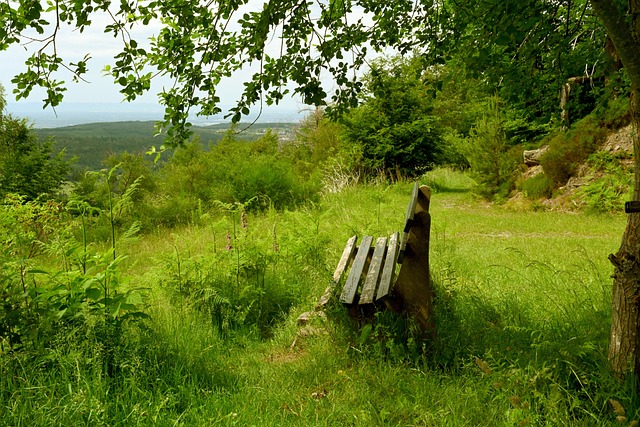 進一步鞏固 進一步鞏固