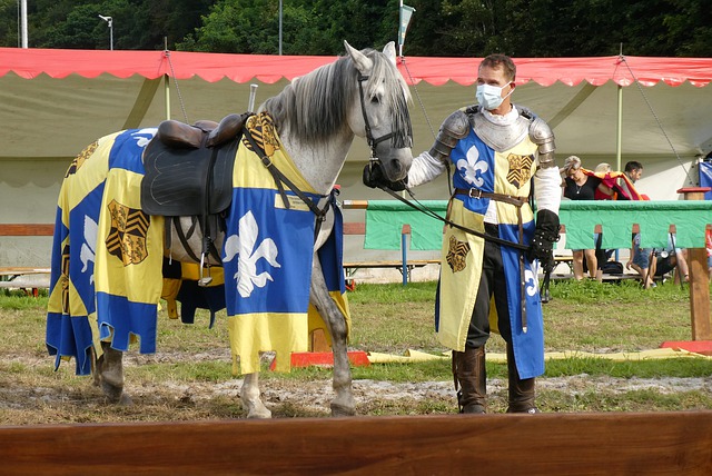 会更关注年 会更关注年