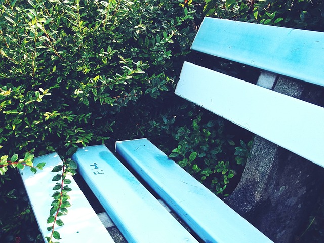 年才俊跻身 年才俊跻身